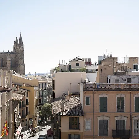 Cappuccino - Palma